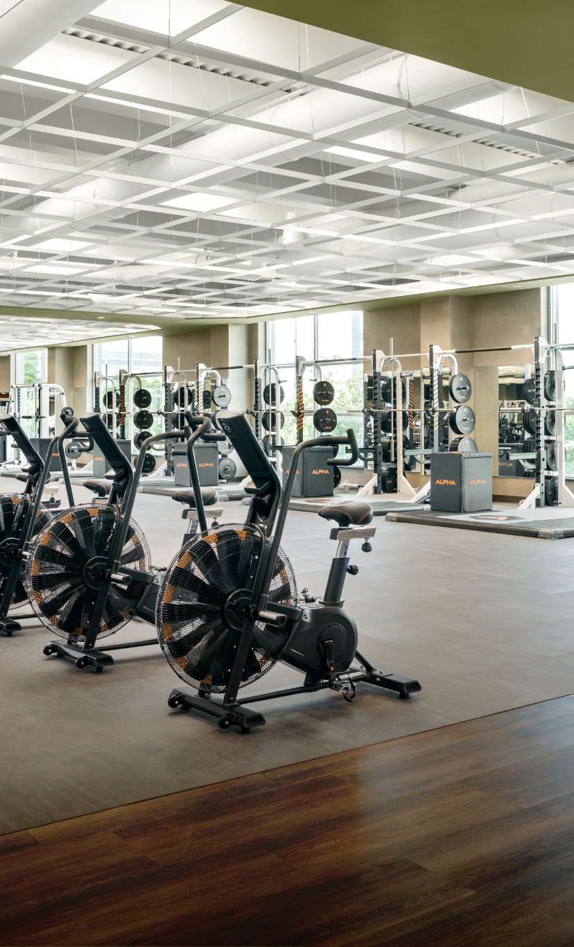 stationary bikes, free weights, and weight macines on an expansive fitness floor