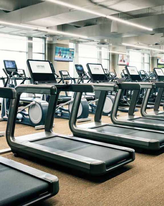 Row of treadmills on the fitness floor at Life Time