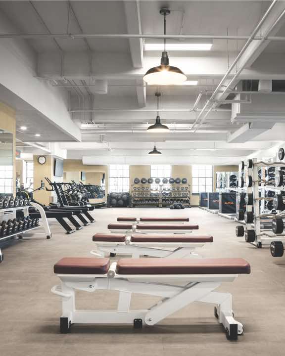Expansive weight-training area with benches and free weights at Life Time