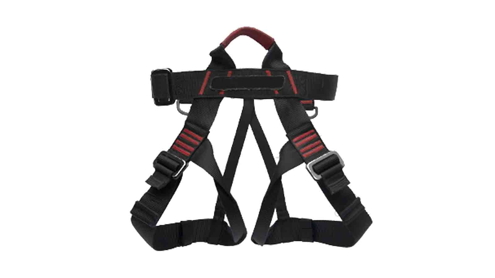 Climbing harness